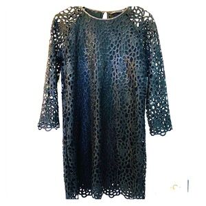 Zara Woman Lined Lace Dress